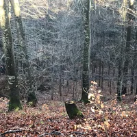 bild1.jpg