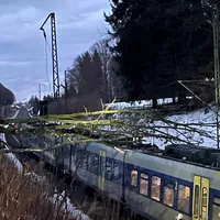 bild2.jpg